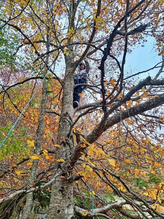 Carousel Bootstrap First