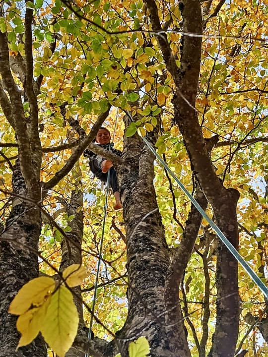 Carousel Bootstrap First